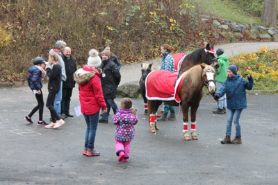 csm Ponyreiten 2 328b30f8f6