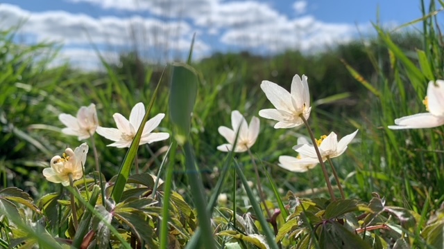 Foto des Monats April2023