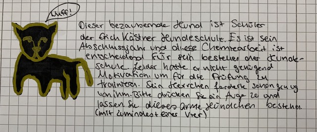 Foto des Monats Februar2023